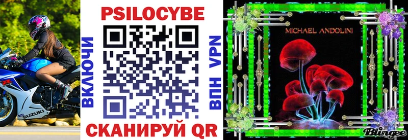 Псилоцибиновые грибы Psilocybe  Рубцовск 
